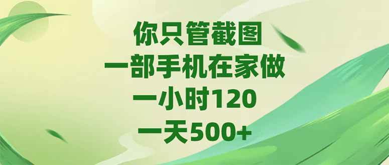 （15039期）你只管截图，一部手机在家做，一小时120，-天500+-皓哥创业笔记