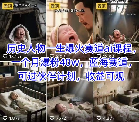 历史人物一生爆火赛道ai课程，一个月爆粉40w，蓝海赛道，可过伙伴计划，收益可观-皓哥创业笔记