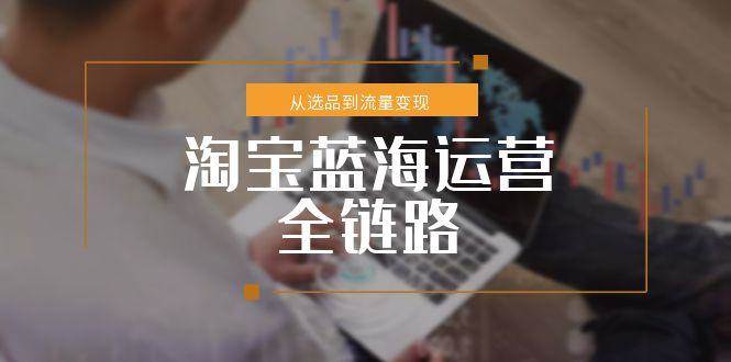 （15160期）淘宝蓝海运营全链路，从选品到流量变现，小类目突围完整方案-皓哥创业笔记