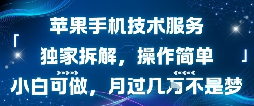 苹果手机技术服务，独家拆解，操作简单，小白可做，月过1W不是梦-皓哥创业笔记