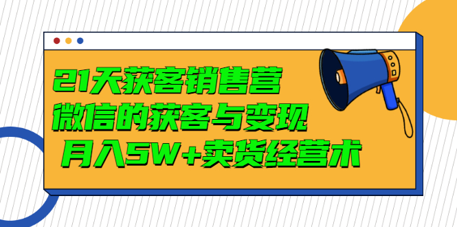 （2997期）21天获客销售营，带你微信的获客与变现  月入5W+卖货经营术-皓哥创业笔记