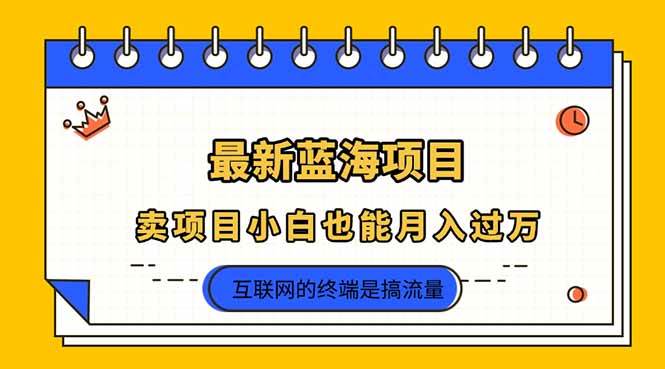 （14289期）2025年最新蓝海项目，卖项目小白也能月入过万-皓哥创业笔记