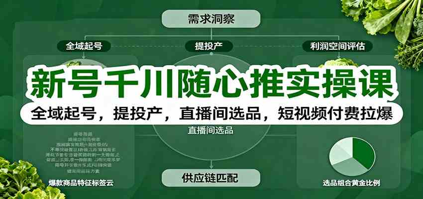 新号千川随心推实操课：全域起号，提投产，直播间选品，短视频付费拉爆-皓哥创业笔记