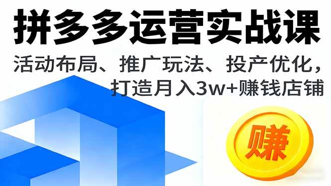 （16135期）拼多多运营实战课，活动布局、推广玩法、投产优化，打造月入3w+赚钱店铺-皓哥创业笔记
