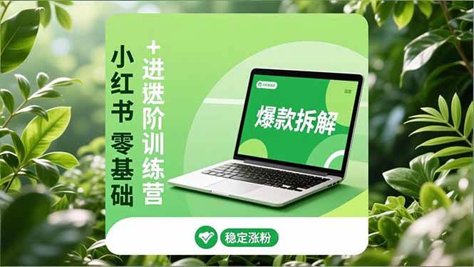 （16801期）小红书零基础+高阶训练营：安全养号、爆款拆解、长效运营，实现稳定涨粉与变现-皓哥创业笔记