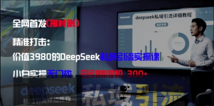 精准打击：价值3980的DeepSeek私域引流实操课，小白实操无门槛，日引精准粉300+-皓哥创业笔记