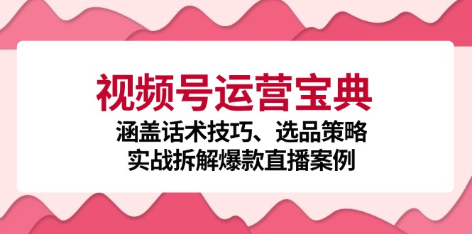 视频号运营宝典:涵盖话术技巧、选品策略、实战拆解爆款直播案例-皓哥创业笔记