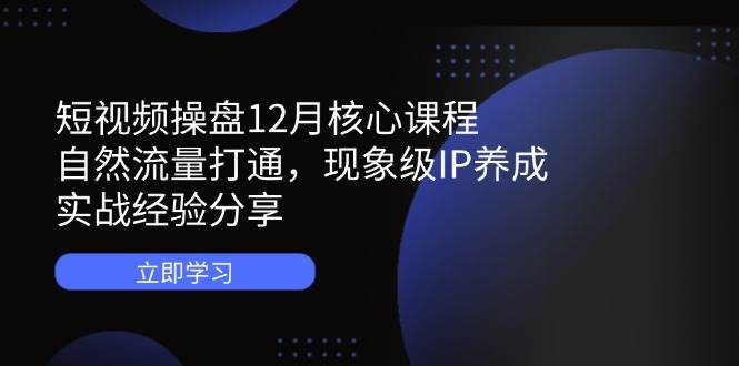 （14447期）短视频操盘12月核心课程：自然流量打通，现象级IP养成，实战经验分享-皓哥创业笔记