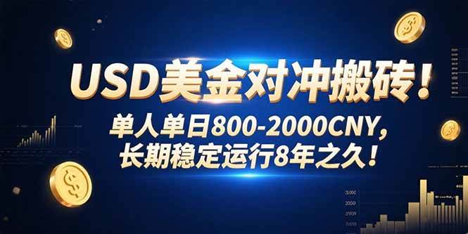 （15551期）USD美金对冲搬砖!单人单日800-2000CNY，长期稳定运行8年之久!-皓哥创业笔记