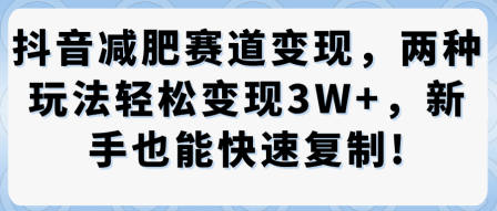 抖音减肥赛道变现,两种玩法轻松变现3W+,新手也能快速复制-皓哥创业笔记
