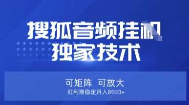【搜狐音频挂G】独家技术，可矩阵可放大，红利期稳定月入8k【揭秘】-皓哥创业笔记
