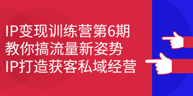 (2351期)IP变现训练营第6期:教你搞流量新姿势,IP打造获客私域经营