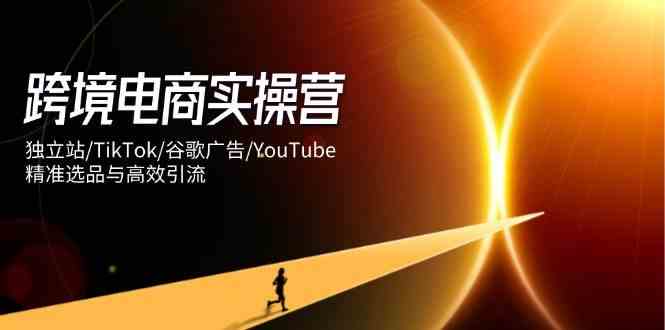 跨境电商实操营：独立站/TikTok/谷歌广告/YouTube，精准选品与高效引流-皓哥创业笔记