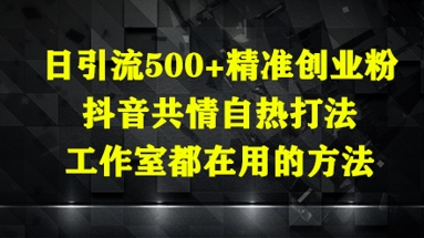 日引流500+精准创业粉，抖音共情自热打法，工作室都在用的方法-皓哥创业笔记