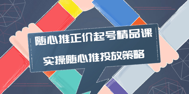 （3897期）随心推正价起号精品课，实操随心推投放策略（5节课-价值298）-皓哥创业笔记