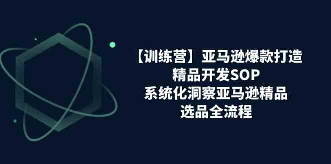 亚马逊爆款打造之精品开发SOP【训练营】，系统化洞察亚马逊精品选品全流程-皓哥创业笔记