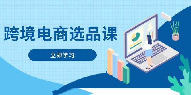 （14547期）跨境电商选品课：涵盖电动滑板车、健康医疗、电子游戏、厨房用品、宠物等-皓哥创业笔记