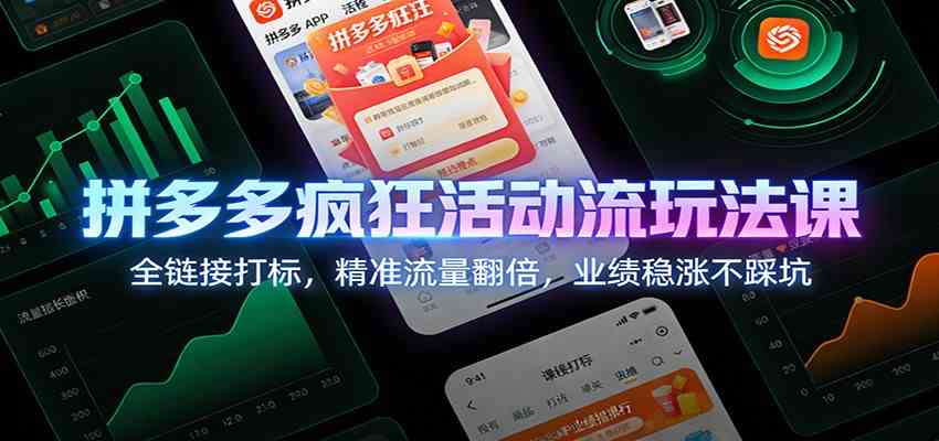 拼多多疯狂活动流玩法课：全链接打标，精准流量翻倍，业绩稳涨不踩坑-皓哥创业笔记