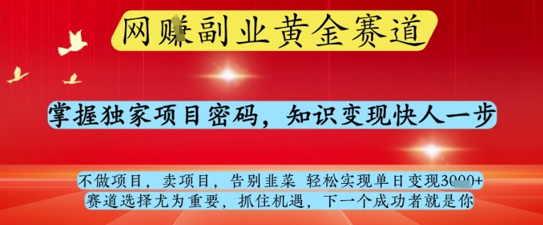 网创副业黄全赛道，掌握独家项目密码，知识变现快人一步，告别韭菜轻松实现单日变现1k+【揭秘】-皓哥创业笔记
