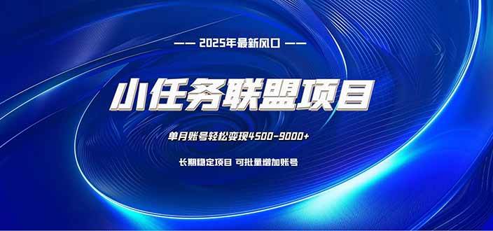 （16521期）小任务联盟项目：一台电脑每天只需10分钟，轻松简单稳定-皓哥创业笔记