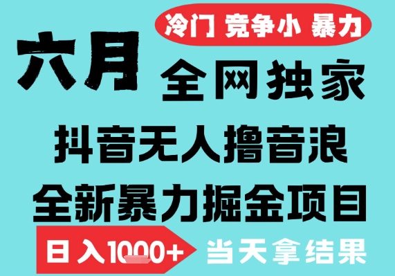 2025年6月高爆抖音无人直播最新撸音浪掘金项目,无脑日入1k+,低门槛小白可做,可矩阵放大【揭秘】-皓哥创业笔记