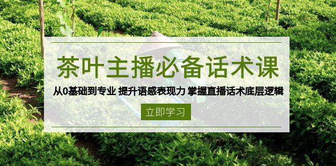 茶叶主播必备话术课 从0基础到专业 提升语感表现力 掌握直播话术底层逻辑-皓哥创业笔记
