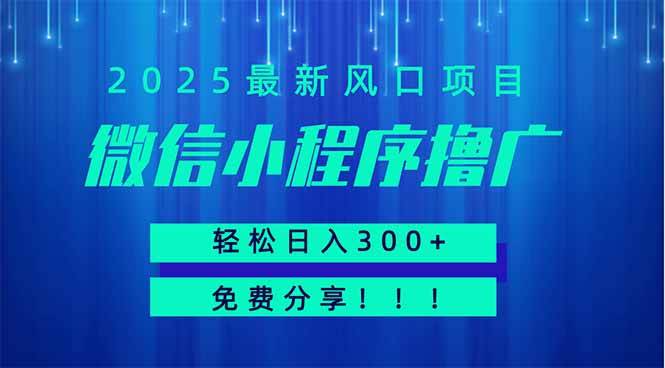 （14375期）微信小程序撸广，最新风口项目，日入300+ 免费分享 可批量操作 小白可…-皓哥创业笔记