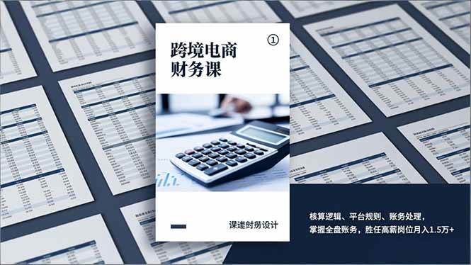 （17036期）跨境电商财务课，核算逻辑、平台规则、账务处理，掌握全盘账务，胜任高薪岗位月入1.5万+-皓哥创业笔记