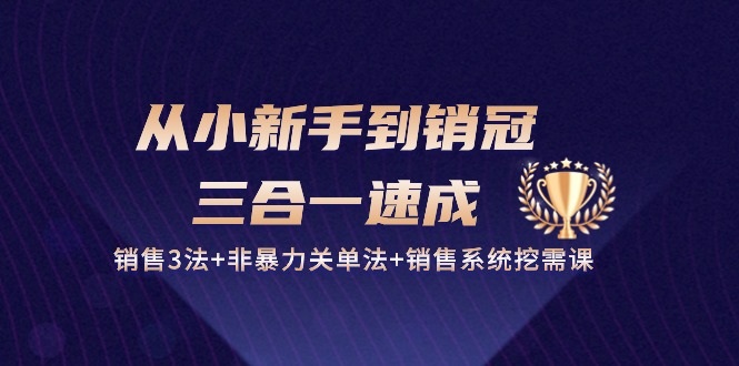 从小新手到销冠三合一速成：销售3法+非暴力关单法+销售系统挖需课 (27节)-皓哥创业笔记