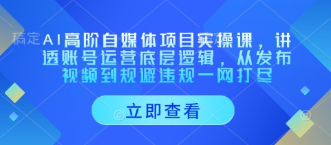 AI高阶自媒体项目实操课，讲透账号运营底层逻辑，从发布视频到规避违规一网打尽-皓哥创业笔记