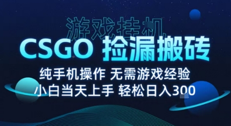 8月最新游戏搬砖，CSGO纯挂G，不需要玩游戏，实现真挂G，月入1W+【揭秘】-皓哥创业笔记