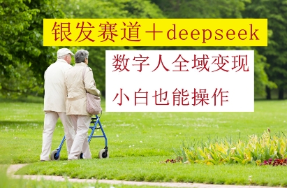 银发赛道+deepseek数字人全域变现，小白也能操作-皓哥创业笔记