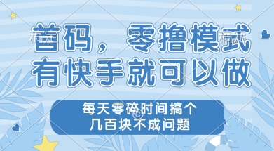首码零撸项目，有快手就可以做，每天业务时间搞个几张不是问题【揭秘】-皓哥创业笔记