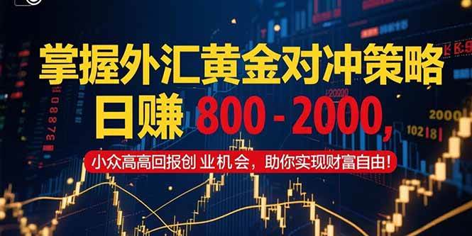 （15198期）掌握外汇黄金对冲策略，日赚 800 – 2000，小众高回报创业机会，助你实…-皓哥创业笔记