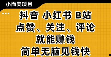 小而美的项目，抖音小红书B站视频点赞、关注、评论就能挣钱，简单无脑立见收益，妥妥的零撸项目【揭秘】-皓哥创业笔记