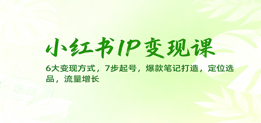 小红书IP变现课:6大变现方式,7步起号,爆款笔记打造,定位选品,流量增长-皓哥创业笔记