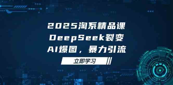 2025无界精品课，DeepSeek裂变，AI爆图，暴力引流助力淘系运营-皓哥创业笔记