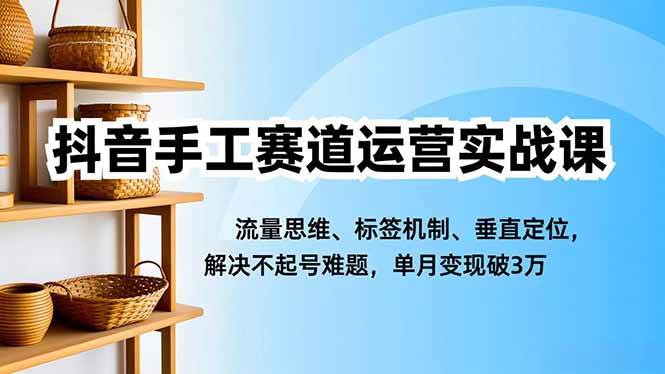 （16667期）抖音手工赛道运营实战课，流量思维、标签机制、垂直定位，解决不起号难题，单月变现破3万-皓哥创业笔记