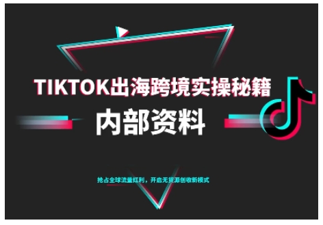 TikTok跨境电商0-1搭建运营，TK出海跨境实操秘籍（10月更新）-皓哥创业笔记