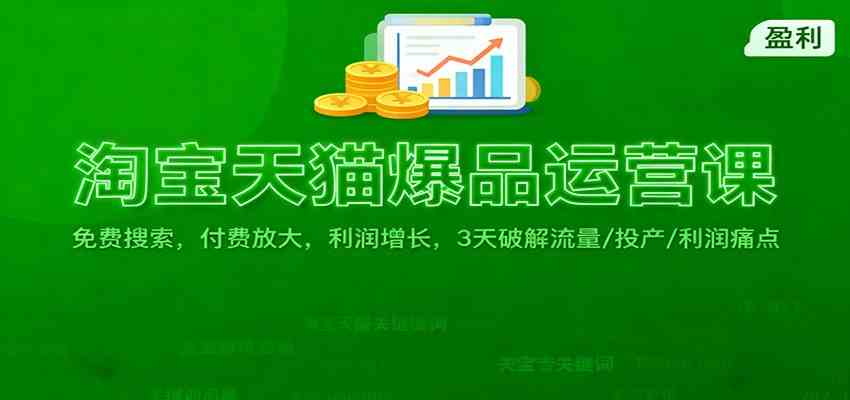 淘宝天猫爆品运营课：免费搜索，付费放大，利润增长，3 天破解流量/ 投产/利润痛点-皓哥创业笔记
