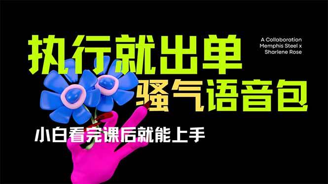 (14170期)爆火全网的开车导航骚气语音包,只要执行就出单,小白看完课程就能实操…-皓哥创业笔记