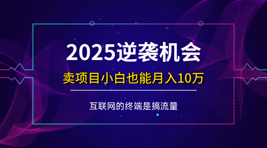 （14122期）项目标题：2025逆袭机会，卖项目小白也能轻松月入10万+-皓哥创业笔记