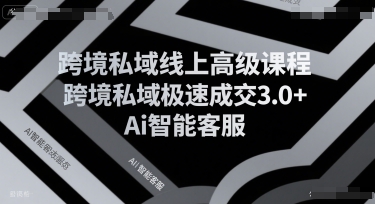跨境私域线上高级课程，跨境私域极速成交3.0+Ai智能客服-皓哥创业笔记