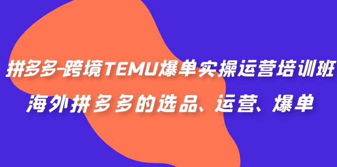 （6934期）拼多多-跨境TEMU爆单实操运营培训班，海外拼多多的选品、运营、爆单-皓哥创业笔记