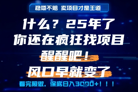 什么？25年你还在疯狂找项目做，醒醒吧，看完这些你全都懂了！【揭秘】-皓哥创业笔记