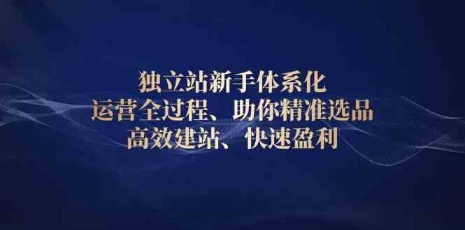 独立站新手体系化 运营全过程，助你精准选品、高效建站、快速盈利-皓哥创业笔记