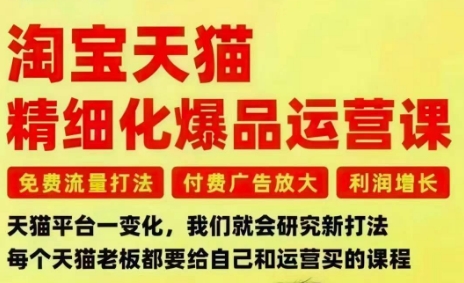 淘宝天猫精细化爆品运营课，免费流量打法-付费广告放大-利润增长-三大核心痛点，一次全部解决-皓哥创业笔记