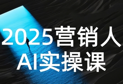 2025营销人Al实操课，AI营销抢跑实战，从Prompt到方案，效率碾压同行-皓哥创业笔记