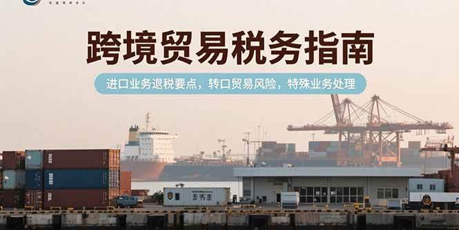 （15381期）跨境贸易税务指南，进口业务退税要点，转口贸易风险，特殊业务处理-皓哥创业笔记