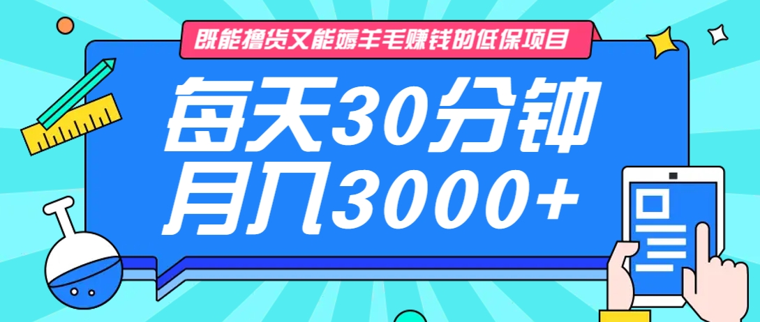 既能撸货又能赚钱的长期低保项目，每天30分钟，多号百分百稳定月入3000+！-皓哥创业笔记